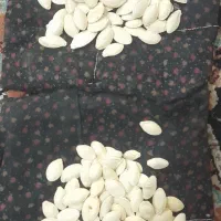 خشکبار|خوردنی و آشامیدنی|اردکان, |دیوار