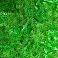 گرینوال ۵۰×۵۰|گل مصنوعی|شیراز, اصلاح‌نژاد|دیوار