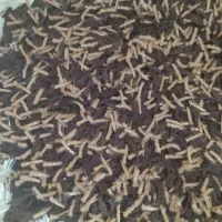 گلیم فرش