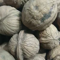 گردو، کشمش، مویز|خوردنی و آشامیدنی|تهران, باغ فیض|دیوار