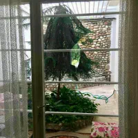 ۲۶۵ متر زمین کلنگی بر ۲۲ جنوبی زعفرانیه|فروش زمین و ملک کلنگی|تهران, زعفرانیه|دیوار