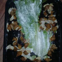 حلزون|خزنده|مشهد, رده|دیوار