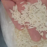 برنج هاشمی اعلا درجه یک ۴۰ کیلو