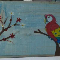 خانه عروس طوطی زیبا