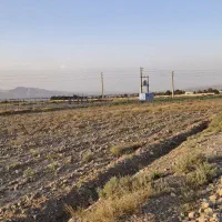 *فوری* زمین زراعی