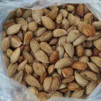 بادام نرمه