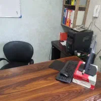 منشی خانم