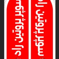 نیرو خانم جهت کار در پروتین راد