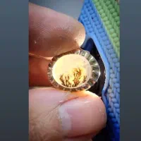 انگشتر شجر قائنات زنده و اصل