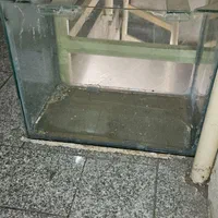 اکواریوم