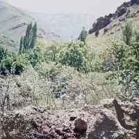 سند-تک-برگ-ششدانگ-خارج-بافت-روستا