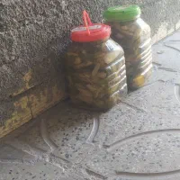 ترشی بیلهر خوشمزه