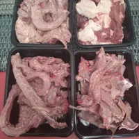 اسکلت وگردن مرغ