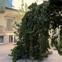 ویلایی-ملکی-حرم-مطهر-بهجت