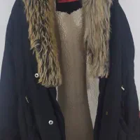 پالتو خز دار