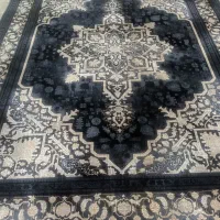 دم قسط قالی بگیر|فرش|شوش, |دیوار