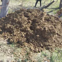 کود بار گاوی