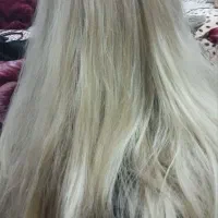 فروش سر مانکن باکیفیت|آرایشگاه و سالنهای زیبایی|آباده, |دیوار