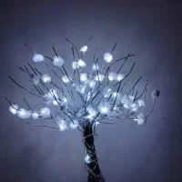 درختچه مینیاتوری