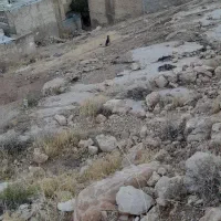 زمین کوچه ۸۰