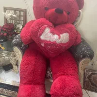 خرس بزرگ ۲ متری