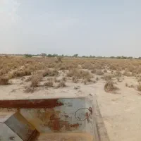 فروش زمین|فروش دفتر صنعتی، کشاورزی، تجاری|تخت, |دیوار