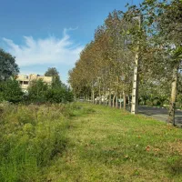 ۳۹۱مترزمین برخیایان اصلی دو بر باقابلیت تجاری