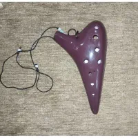 ساز اکارینا