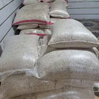 تخمه کدو گوشتی|خوردنی و آشامیدنی|اصفهان, ناژوان|دیوار