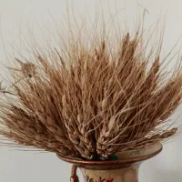 فروش زمین زراعی 14.5هکتاری در شوردرق خامسلو