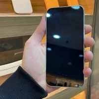 iPhone 13|موبایل|نیشابور, امام خمینی|دیوار