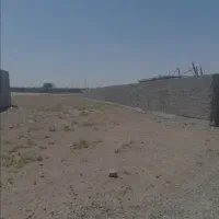 زمین-کاهو-در-خیابان-نیلوفر