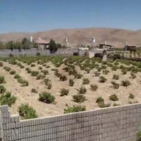 باغ شهری دریمه