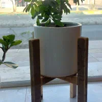 استند گل|کتابخانه، شلف، قفسه‌های دیواری|جیرفت, |دیوار