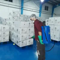 سمپاشی حشرات و جوندگان / فروش حشره کش خانگی|خدمات نظافت|کاشان, بهشتی|دیوار