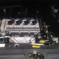 راین وی V5 ولا مطابق صفر محصول پرستوی آبی ارگ