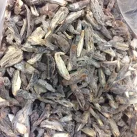 خمیر خرما و چیپس خرما|خوردنی و آشامیدنی|تهران, شمشیری|دیوار