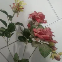 گل و گلدان چوبی|گل مصنوعی|اردبیل, |دیوار