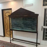 آکواریوم با تمام امکانات