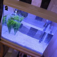 آکواریوم نو