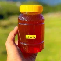 عسل.شیره انگور.شیره خرما.