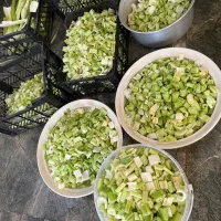 نیرو خانم برای محیطی کاملا زنانه|استخدام خدمات فروشگاه و رستوران|تهران, اوقاف|دیوار