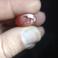 نشان هخامنشی