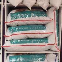 انواع بالشت ضد حساسیت و ضد باکتری|رختخواب، بالش، پتو|بندرعباس, |دیوار