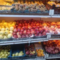 دکور مغازه میوه فروشی|فروشگاه و مغازه|زابل, |دیوار