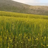 مدل ۱۴۰۴