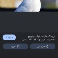 تعدادی کبوتر گمشده