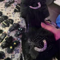 صندل رو فرشی و مجلسی