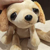 عروسک پولیشی سالم