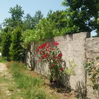 فروش زمین 185 متر گلسار کوی اساتید(بر 18متر)